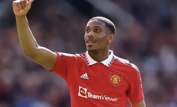 成熟度使他 成熟度使他